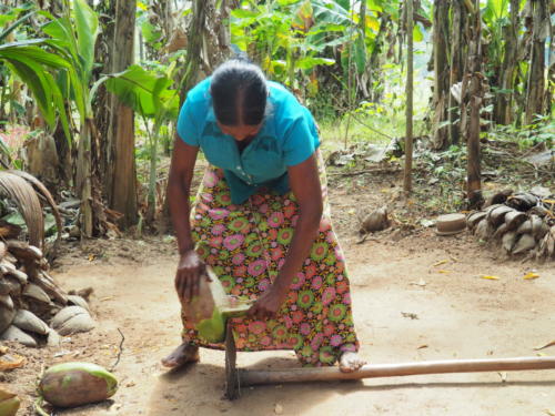 Viele Einheimische bauen ihre Nahrungsmittel selbst an. 