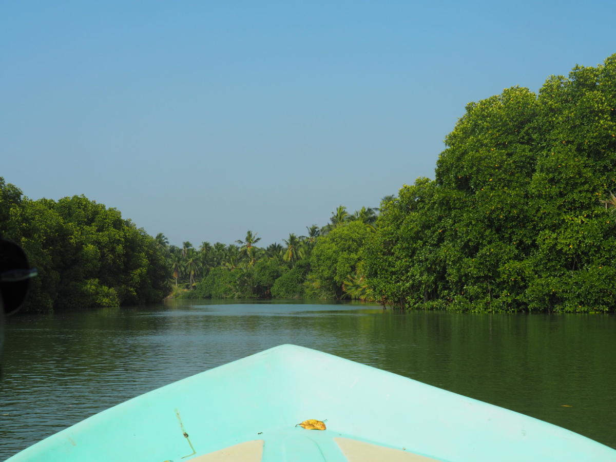 Atemberaubend: Lagunenfahrt in Negombo