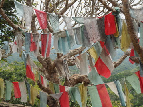 In Sri Lanka gehören die meisten Singhalesen dem Theravada Buddhismus an 