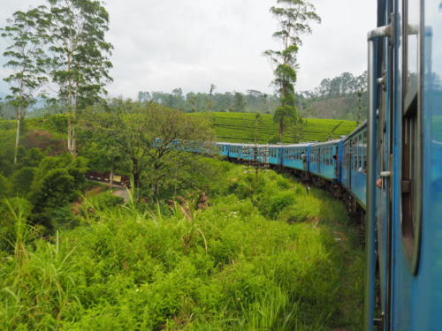 Ein Muss! Zugfahrt durch das Hochland 